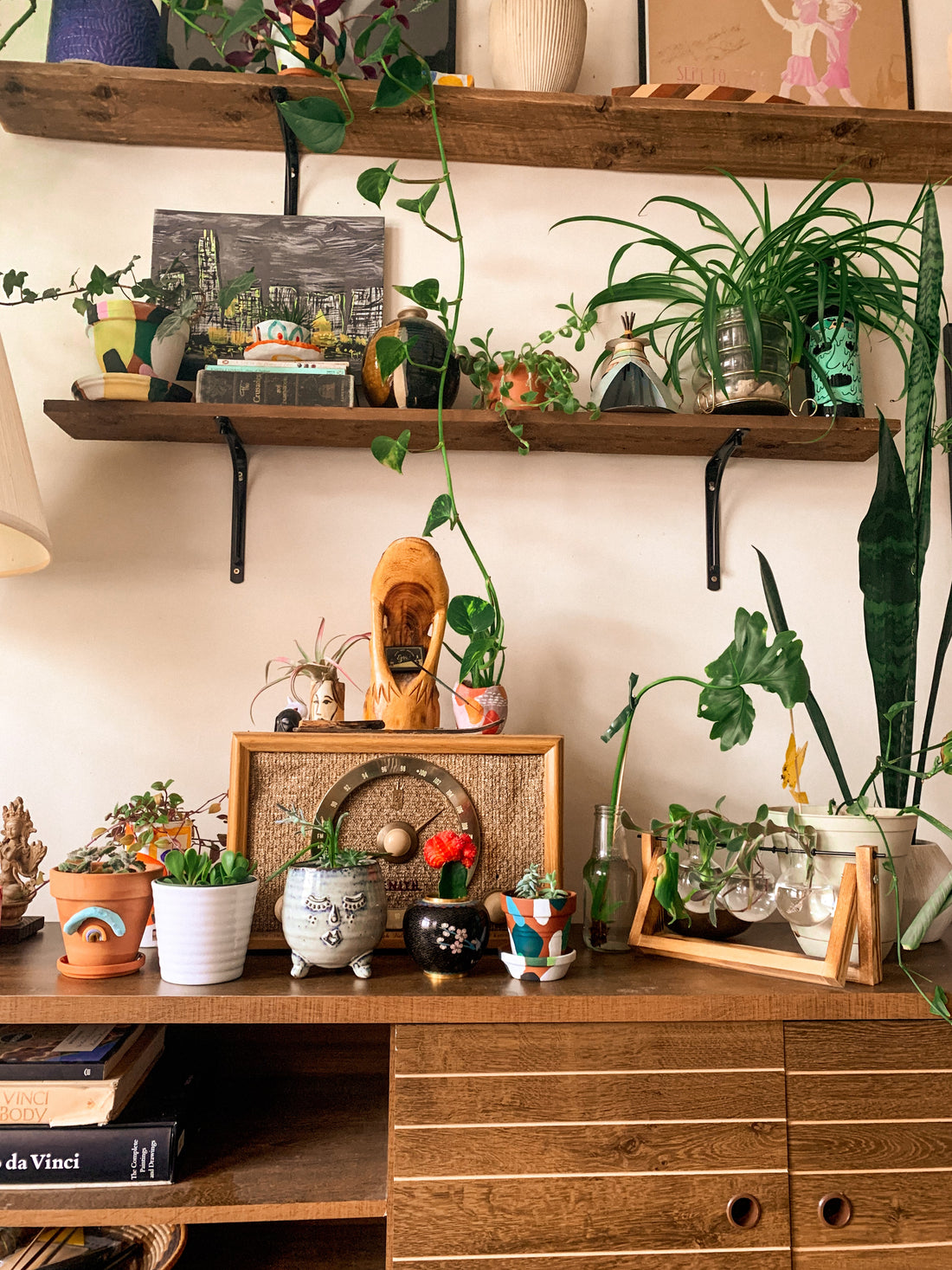 Don't Have a Green Thumb? Try Our Comparable Incense Sticks for an Aromatic Experience!