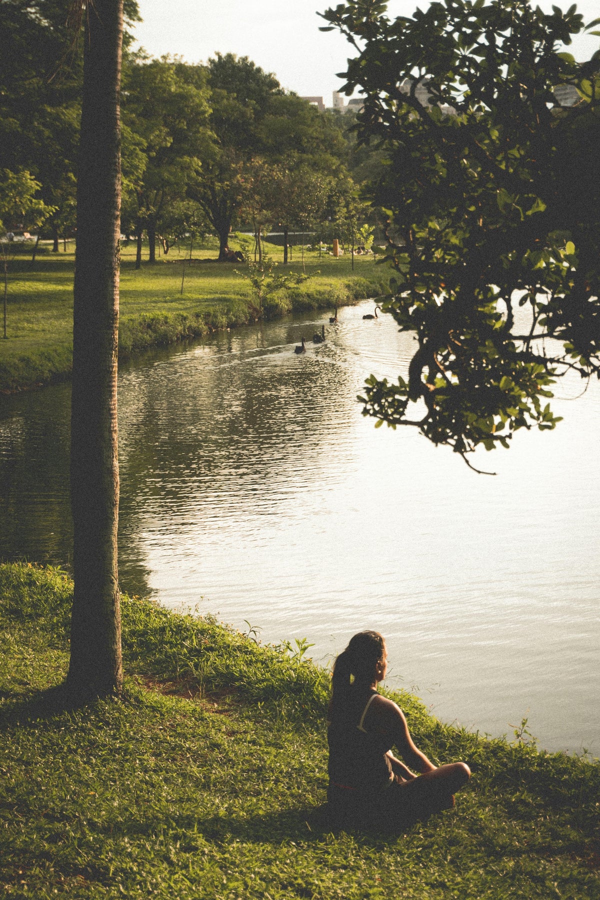 The Interconnectedness of Life